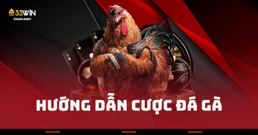 Hướng Dẫn Cược Đá Gà - Cách Chơi Và Mẹo Thắng 2025